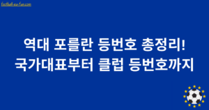 역대 포를란 등번호 총정리! 국가대표부터 클럽 등번호까지